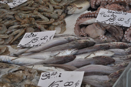 地中海でとれた魚たち: 暮らすかミラノ